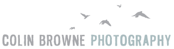 Colin Browne Photography logo