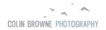 Colin Browne Photography logo